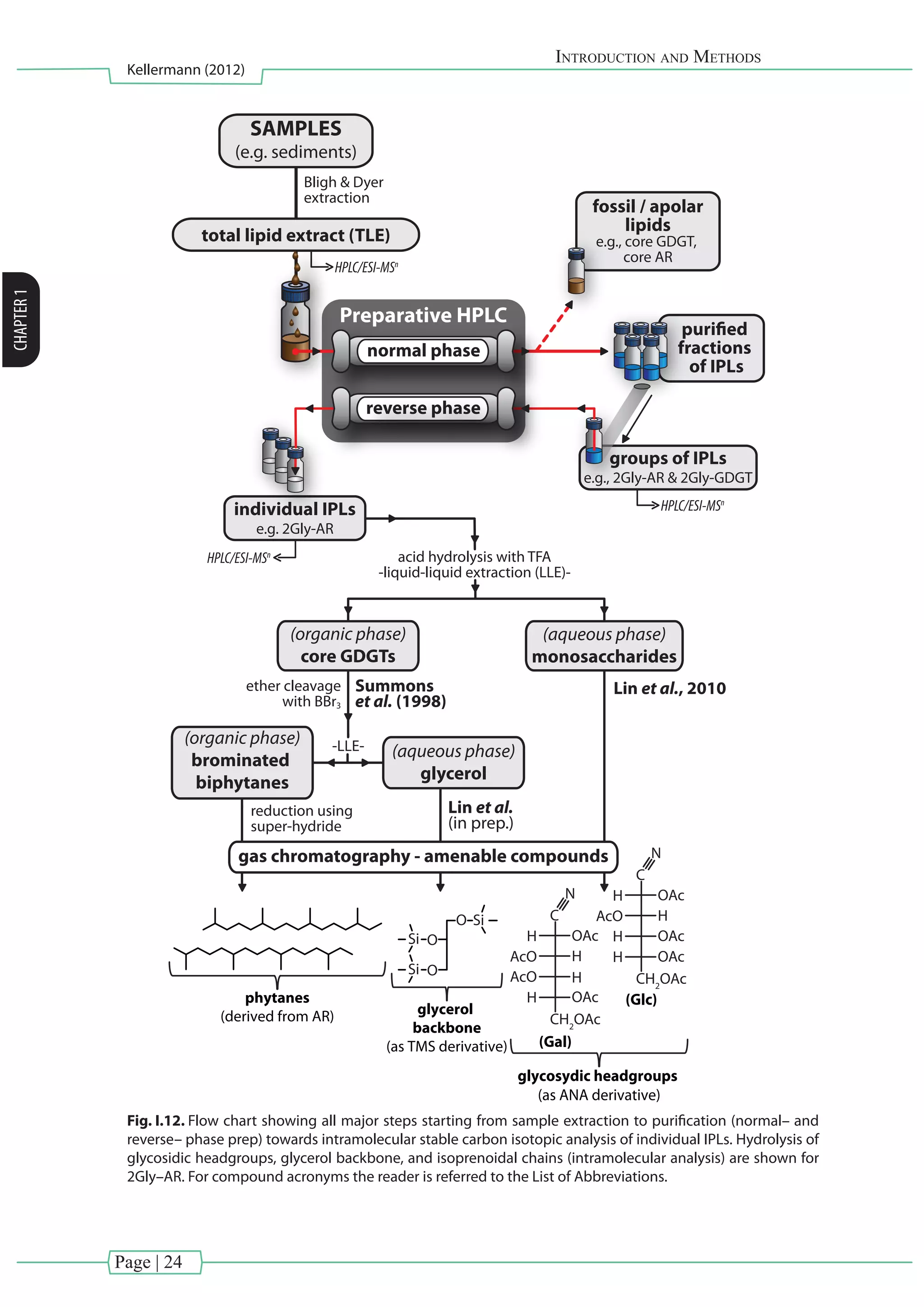 Page | 24
Introduction and Methods
Kellermann (2012)
CHAPTER1
HPLC/ESI-MSn
HPLC/ESI-MSn
individual IPLs
e.g. 2Gly-AR
groups of IPLs
e.g., 2Gly-AR & 2Gly-GDGT
fossil / apolar
lipids
e.g., core GDGT,
core AR
purified
fractions
of IPLs
reduction using
super-hydride
Si
Si
O
Bligh & Dyer
extraction
SAMPLES
(e.g. sediments)
total lipid extract (TLE)
acid hydrolysis with TFA
-liquid-liquid extraction (LLE)-
ether cleavage
with BBr3
-LLE-
Lin et al., 2010
Lin et al.
(in prep.)
Summons
et al. (1998)
normal phase
Preparative HPLC
reverse phase
(organic phase)
core GDGTs
(aqueous phase)
monosaccharides
(organic phase)
brominated
biphytanes
gas chromatography - amenable compounds
(aqueous phase)
glycerol
phytanes
(derived from AR)
glycosydic headgroups
(as ANA derivative)
glycerol
backbone
(as TMS derivative)
O
Si O
C
CH2
OAc
OAc
AcO
AcO
OAc
H
H
H
H
N
(Gal)
C
CH2
OAc
OAc
AcO
OAc
OAc
H
H
H
H
N
(Glc)
HPLC/ESI-MSn
Fig. I.12. Flow chart showing all major steps starting from sample extraction to purification (normal– and
reverse– phase prep) towards intramolecular stable carbon isotopic analysis of individual IPLs. Hydrolysis of
glycosidic headgroups, glycerol backbone, and isoprenoidal chains (intramolecular analysis) are shown for
2Gly–AR. For compound acronyms the reader is referred to the List of Abbreviations.
 