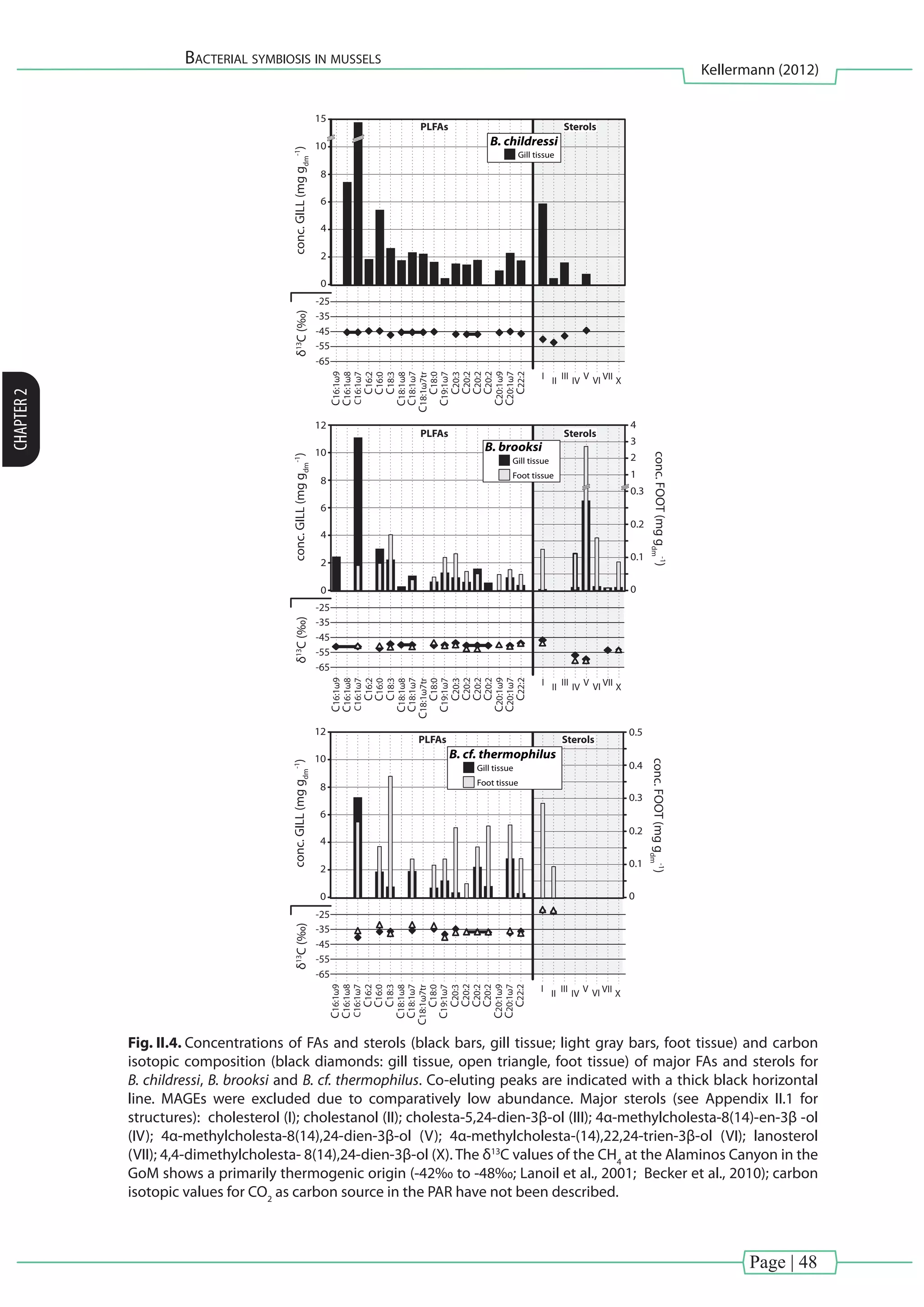 Page | 48
Bacterial symbiosis in mussels
Kellermann (2012)
CHAPTER2
3
4
2
1
B. brooksi
Gill tissue
Foot tissue
SterolsPLFAs
conc.FOOT(mggdm
-1
)
conc.GILL(mggdm
-1
)
C20:2
I II III VIV VIIVI X
C16:1ω8
C16:1ω9
C18:1ω8
C18:0
C18:1ω7
C19:1ω7
C20:1ω9
C20:1ω7
C18:1ω7tr
C16:0
C16:2
C18:3
C20:3
C20:2
C20:2
C22:2
C16:1ω7
0.2
0.3
0
0.1
12
10
8
6
4
0
2
δ13
C(‰)
C20:2
I II III VIV VIIVI X
C16:1ω8
C16:1ω9
C18:1ω8
C18:0
C18:1ω7
C19:1ω7
C20:1ω9
C20:1ω7
C18:1ω7tr
C16:0
C16:2
C18:3
C20:3
C20:2
C20:2
C22:2
C16:1ω7-65
15
10
8
6
4
0
2
δ13
C(‰)
-55
-45
-35
-25
-65
-55
-45
-35
-25
-65
-55
-45
-35
-25
SterolsPLFAs
conc.GILL(mggdm
-1
)
B. childressi
Gill tissue
C20:2
I II III VIV VIIVI X
C16:1ω8
C16:1ω9
C18:1ω8
C18:0
C18:1ω7
C19:1ω7
C20:1ω9
C20:1ω7
C18:1ω7tr
C16:0
C16:2
C18:3
C20:3
C20:2
C20:2
C22:2
C16:1ω7
12
10
8
6
4
0
2
0.2
0.3
0.4
0.5
0
0.1
δ13
C(‰)conc.GILL(mggdm
-1
)
conc.FOOT(mggdm
-1
)
B. cf. thermophilus
Gill tissue
Foot tissue
SterolsPLFAs
Fig. II.4. Concentrations of FAs and sterols (black bars, gill tissue; light gray bars, foot tissue) and carbon
isotopic composition (black diamonds: gill tissue, open triangle, foot tissue) of major FAs and sterols for
B. childressi, B. brooksi and B. cf. thermophilus. Co-eluting peaks are indicated with a thick black horizontal
line. MAGEs were excluded due to comparatively low abundance. Major sterols (see Appendix II.1 for
structures): cholesterol (I); cholestanol (II); cholesta-5,24-dien-3β-ol (III); 4α-methylcholesta-8(14)-en-3β -ol
(IV); 4α-methylcholesta-8(14),24-dien-3β-ol (V); 4α-methylcholesta-(14),22,24-trien-3β-ol (VI); lanosterol
(VII); 4,4-dimethylcholesta- 8(14),24-dien-3β-ol (X). The δ13
C values of the CH4
at the Alaminos Canyon in the
GoM shows a primarily thermogenic origin (-42‰ to -48‰; Lanoil et al., 2001; Becker et al., 2010); carbon
isotopic values for CO2
as carbon source in the PAR have not been described.
 