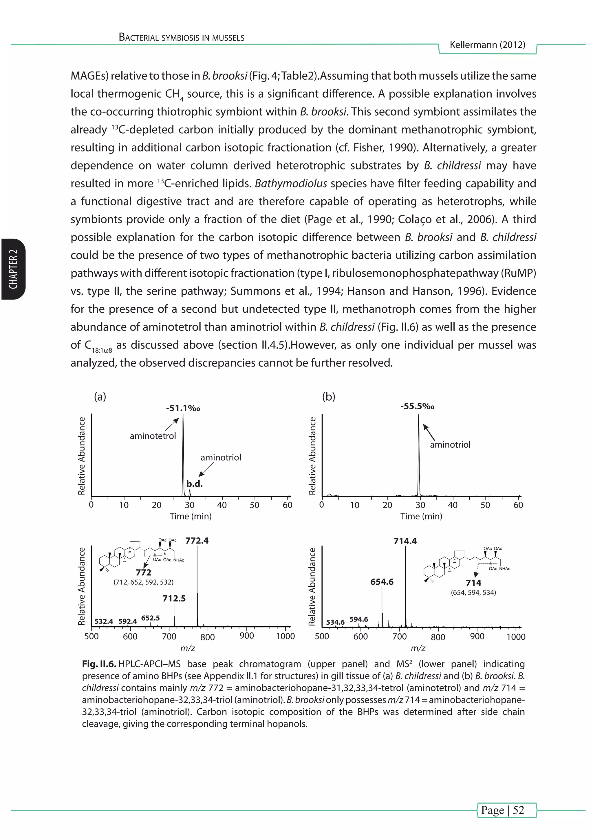 Page | 52
Bacterial symbiosis in mussels
Kellermann (2012)
CHAPTER2
MAGEs)relativetothoseinB.brooksi(Fig.4;Table2).Assumingthatbothmusselsutilizethesame
local thermogenic CH4
source, this is a significant difference. A possible explanation involves
the co-occurring thiotrophic symbiont within B. brooksi. This second symbiont assimilates the
already 13
C-depleted carbon initially produced by the dominant methanotrophic symbiont,
resulting in additional carbon isotopic fractionation (cf. Fisher, 1990). Alternatively, a greater
dependence on water column derived heterotrophic substrates by B. childressi may have
resulted in more 13
C-enriched lipids. Bathymodiolus species have filter feeding capability and
a functional digestive tract and are therefore capable of operating as heterotrophs, while
symbionts provide only a fraction of the diet (Page et al., 1990; Colaço et al., 2006). A third
possible explanation for the carbon isotopic difference between B. brooksi and B. childressi
could be the presence of two types of methanotrophic bacteria utilizing carbon assimilation
pathways with different isotopic fractionation (type I, ribulosemonophosphatepathway (RuMP)
vs. type II, the serine pathway; Summons et al., 1994; Hanson and Hanson, 1996). Evidence
for the presence of a second but undetected type II, methanotroph comes from the higher
abundance of aminotetrol than aminotriol within B. childressi (Fig. II.6) as well as the presence
of C18:1ω8
as discussed above (section II.4.5).However, as only one individual per mussel was
analyzed, the observed discrepancies cannot be further resolved.
aminotetrol
aminotriol
aminotriol
714
(654, 594, 534)
0 010
500
20
600
30
700
40
800
712.5
652.5592.4532.4
772.4
50
900
m/z
60
1000
Time (min) Time (min)
772
(712, 652, 592, 532)
714.4
654.6
594.6534.6
OAc OAc
OAc NHAc
-55.5‰-51.1‰
b.d.
OAc OAc
OAcOAc NHAc
RelativeAbundanceRelativeAbundance
10 20 30 40 50 60
RelativeAbundance
500 600 700 800 900
m/z
RelativeAbundance
(a) (b)
1000
Fig. II.6. HPLC-APCI–MS base peak chromatogram (upper panel) and MS2
(lower panel) indicating
presence of amino BHPs (see Appendix II.1 for structures) in gill tissue of (a) B. childressi and (b) B. brooksi. B.
childressi contains mainly m/z 772 = aminobacteriohopane-31,32,33,34-tetrol (aminotetrol) and m/z 714 =
aminobacteriohopane-32,33,34-triol (aminotriol).B.brooksi only possessesm/z 714 = aminobacteriohopane-
32,33,34-triol (aminotriol). Carbon isotopic composition of the BHPs was determined after side chain
cleavage, giving the corresponding terminal hopanols.
 