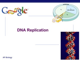 DNA Replication

AP Biology

2007-2008

 