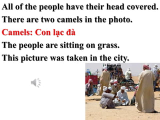 All of the people have their head covered.
There are two camels in the photo.
Camels: Con lạc đà
The people are sitting on...
