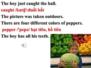 The boy just caught the ball.
caught /kætʃ/:đuổi bắt
The picture was taken outdoors.
There are four different colors of pe...