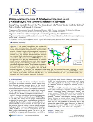 Design and Mechanism of Tetrahydrothiophene-Based
γ‑Aminobutyric Acid Aminotransferase Inactivators
Hoang V. Le,†
Dustin D. Hawker,†
Rui Wu,‡
Emma Doud,§
Julia Widom,†
Ruslan Sanishvili,∥
Dali Liu,‡
Neil L. Kelleher,§
and Richard B. Silverman*,†
†
Departments of Chemistry and Molecular Biosciences, Chemistry of Life Processes Institute, and the Center for Molecular
Innovation and Drug Discovery, Northwestern University, Evanston, Illinois 60208, United States
‡
Department of Chemistry and Biochemistry, Loyola University Chicago, Chicago, Illinois 60660, United States
§
Departments of Chemistry and Molecular Biosciences and the Proteomics Center of Excellence, Northwestern University, Evanston,
Illinois 60208, United States
∥
X-ray Science Division, Advanced Photon Source, Argonne National Laboratory, Lemont, Illinois 60439, United States
*S Supporting Information
ABSTRACT: Low levels of γ-aminobutyric acid (GABA), one
of two major neurotransmitters that regulate brain neuronal
activity, are associated with many neurological disorders, such as
epilepsy, Parkinson’s disease, Alzheimer’s disease, Huntington’s
disease, and cocaine addiction. One of the main methods to
raise the GABA level in human brain is to use small molecules
that cross the blood−brain barrier and inhibit the activity of γ-
aminobutyric acid aminotransferase (GABA-AT), the enzyme
that degrades GABA. We have designed a series of conforma-
tionally restricted tetrahydrothiophene-based GABA analogues
with a properly positioned leaving group that could facilitate a
ring-opening mechanism, leading to inactivation of GABA-AT.
One compound in the series is 8 times more eﬃcient an
inactivator of GABA-AT than vigabatrin, the only FDA-
approved inactivator of GABA-AT. Our mechanistic studies show that the compound inactivates GABA-AT by a new
mechanism. The metabolite resulting from inactivation does not covalently bind to amino acid residues of GABA-AT but stays in
the active site via H-bonding interactions with Arg-192, a π−π interaction with Phe-189, and a weak nonbonded S···OC
interaction with Glu-270, thereby inactivating the enzyme.
1. INTRODUCTION
Epilepsy is a family of chronic neurological disorders
characterized by recurring convulsive seizures, which result
from abnormal, excessive neuronal activity in the central
nervous system.1
It is estimated that about 65 million people
worldwide have epilepsy.2
Epilepsy can arise from an imbalance
in two major neurotransmitters that regulate brain neuronal
activity, L-glutamate, an excitatory neurotransmitter, and γ-
aminobutyric acid (GABA), an inhibitory neurotransmitter.3
GABA is produced in GABAergic neurons from L-glutamate
by the enzyme glutamic acid decarboxylase (GAD) (Figure
1).4,5
GABA is then released into the synapse and transported
to glial cells. The enzyme GABA aminotransferase (GABA-AT)
in glial cells degrades GABA to succinic semialdehyde, which is
further oxidized to succinate and enters the Krebs cycle. In this
ﬁrst half of the GABA-AT catalytic cycle, the cofactor pyridoxal
5′-phosphate (PLP) is converted to pyridoxamine 5′-phosphate
(PMP). GABA-AT also converts α-ketoglutarate from the
Krebs cycle to L-glutamate and returns PMP to PLP in the
second half of its catalytic cycle. Because there is no GAD in
glial cells, this newly formed L-glutamate is not converted to
GABA. It is instead converted to L-glutamine, which is then
released from glial cells into the synapse and transported back
to GABAergic neurons to complete the metabolic cycle of L-
glutamate.
Low levels of GABA are linked to not only epilepsy6
but also
many other neurological disorders, including Parkinson’s
disease,7
Alzheimer’s disease,8
Huntington’s disease,9
and
cocaine addiction.10
Raising GABA levels has proven eﬀective
in stopping recurring convulsive seizures in the treatment of
epilepsy.11
However, GABA does not cross the blood−brain
barrier; therefore, an increase in brain levels of GABA cannot
be achieved by intravenous administration.12
To increase brain
levels of GABA, one could speed up the activity of GAD, the
enzyme that makes GABA; inhibit the activity of GABA-AT,
the enzyme that degrades GABA; or inhibit the reuptake of
GABA by blocking the action of the GABA transporters.
Received: February 6, 2015
Published: March 17, 2015
Article
pubs.acs.org/JACS
© 2015 American Chemical Society 4525 DOI: 10.1021/jacs.5b01155
J. Am. Chem. Soc. 2015, 137, 4525−4533
 