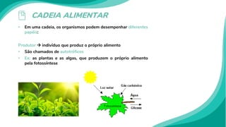 CADEIA ALIMENTAR
• Em uma cadeia, os organismos podem desempenhar diferentes
papéis:
Produtor  indivíduo que produz o próprio alimento
• São chamados de autotróficos
• Ex: as plantas e as algas, que produzem o próprio alimento
pela fotossíntese
 