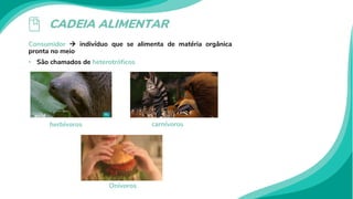 CADEIA ALIMENTAR
Consumidor  indivíduo que se alimenta de matéria orgânica
pronta no meio
• São chamados de heterotróficos
herbívoros carnívoros
Onívoros
 