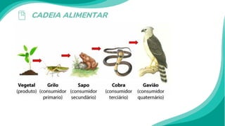 CADEIA ALIMENTAR
 