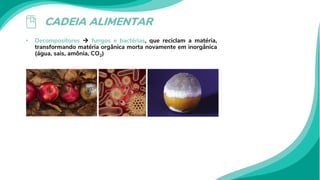 CADEIA ALIMENTAR
• Decompositores  fungos e bactérias, que reciclam a matéria,
transformando matéria orgânica morta novamente em inorgânica
(água, sais, amônia, CO2)
 