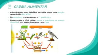 CADEIA ALIMENTAR
• Além do papel, cada indivíduo na cadeia possui uma posição,
denominada nível trófico
• Os produtores ocupam sempre o 1º nível trófico
• Quanto maior o nível trófico, menor a quantidade de energia
disponível, pois a energia se perde como calor
 