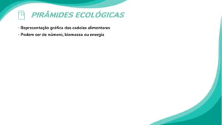 PIRÂMIDES ECOLÓGICAS
• Representação gráfica das cadeias alimentares
• Podem ser de número, biomassa ou energia
 