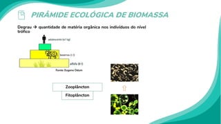 PIRÂMIDE ECOLÓGICA DE BIOMASSA
Degrau  quantidade de matéria orgânica nos indivíduos do nível
trófico
Fonte: Eugene Odum
Fitoplâncton
Zooplâncton
 