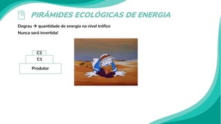 PIRÂMIDES ECOLÓGICAS DE ENERGIA
Degrau  quantidade de energia no nível trófico
Nunca será invertida!
Produtor
C1
C2
 