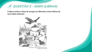 QUESTÃO 2 - ENEM (LIBRAS)
A figura mostra o fluxo de energia em diferentes níveis tróficos de
uma cadeia alimentar.
 