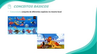 CONCEITOS BÁSICOS
• Comunidade: conjunto de diferentes espécies no mesmo local
 