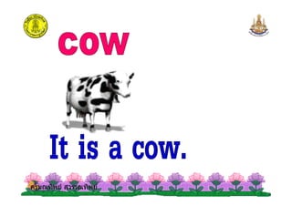 ครูมณทิพย สุวรรณทิพยครูมณทิพย สุวรรณทิพย
 