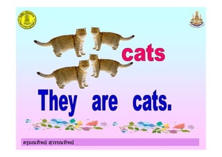 ครูมณทิพย สุวรรณทิพย
 