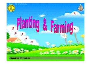 ครูมณทิพย สุวรรณทิพยครูมณทิพย สุวรรณทิพย
 