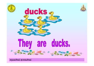 ครูมณทิพย สุวรรณทิพย
 