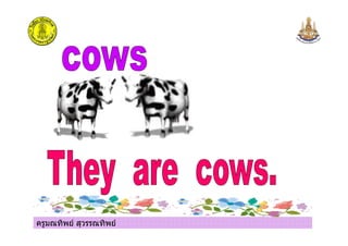 ครูมณทิพย สุวรรณทิพย
 