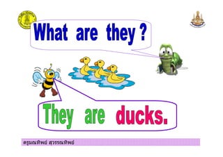 ครูมณทิพย สุวรรณทิพย
 