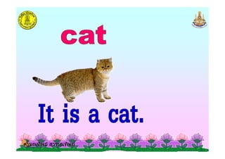 ครูมณทิพย สุวรรณทิพยครูมณทิพย สุวรรณทิพย
 