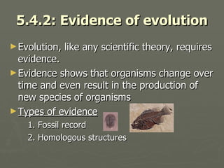 5.4 Evolution | PPT