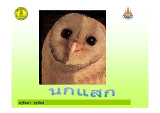 ครูรัตนา จุรุพันธ
 