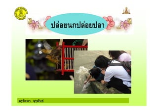 ครูรัตนา จุรุพันธ
ก
 