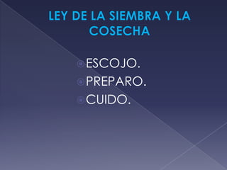 ESCOJO.
PREPARO.
CUIDO.
 