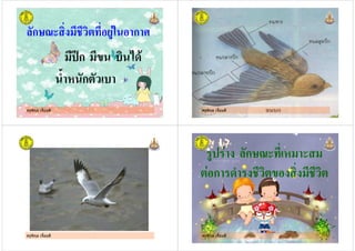 ครูพิกุล เจี้ยมดี
ก ก
!ก " # $%&
' ก #
ครูพิกุล เจี้ยมดี
ครูพิกุล เจี้ยมดี ครูพิกุล เจี้ยมดี
( ( ก
ก (%' ( "
 