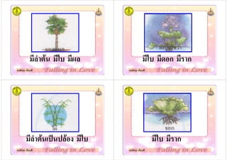 ครูพิกุล เจี้ยมดี
' & #
ครูพิกุล เจี้ยมดี
# % ก ( ก
ครูพิกุล เจี้ยมดี
' & + & #
ครูพิกุล เจี้ยมดี
# ( ก
 