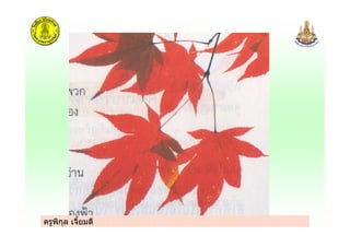 ครูพิกุล เจี้ยมดี
 