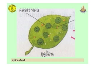 ครูพิกุล เจี้ยมดี
 