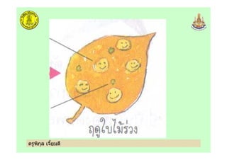 ครูพิกุล เจี้ยมดี
 