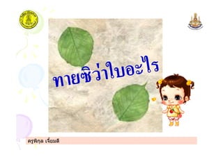 ครูพิกุล เจี้ยมดี
$ /2 " 3
 