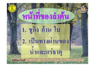 ครูพิกุล เจี้ยมดี
1. ก! ก "
2. $ %
& ' ' ( )
 