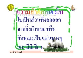 ครูพิกุล เจี้ยมดี
" $*! ก ก
กก! ก
+ก,- '% .
' * * */
 