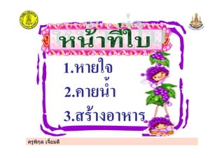 ครูพิกุล เจี้ยมดี
1. /"
2.0 / &
3.
 