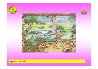 ครูกชกร ธาราชีพ
 