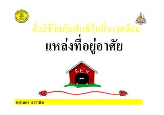 ครูกชกร ธาราชีพ
ก
. / ( 6
 