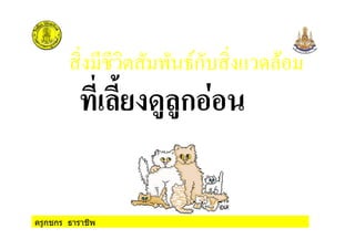 ครูกชกร ธาราชีพ
ก
$/- "(/(ก
 