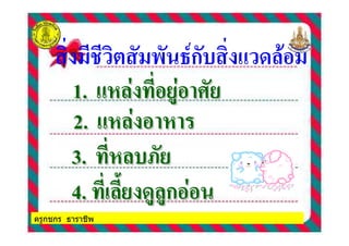 ครูกชกร ธาราชีพ
ก3 . "/
1.1. . / ( 6. / ( 6
3.3. /3*/3*
2.2. . /. /
4.4. $/- "(/(ก$/- "(/(ก
 