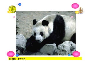 ครูกชกร ธาราชีพ
 