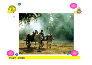 ครูกชกร ธาราชีพ
 