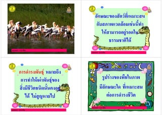 ครูกชกร ธาราชีพ
ครูกชกร ธาราชีพ
ก
ก !!" #
$ % & $!
' ()
ครูกชกร ธาราชีพ
ก # !'* &%+
ก # $ , !'*
( ( !( !"!- &
) ) . &)
ครูกชกร ธาราชีพ
$!
ก $
ก # (
 