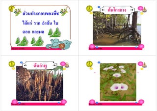 ครูกชกร ธาราชีพ
! ก! ก
) ก ก # ! $
ก ,
ครูกชกร ธาราชีพ
!/ก ก
ครูกชกร ธาราชีพ
! #
ครูกชกร ธาราชีพ
 