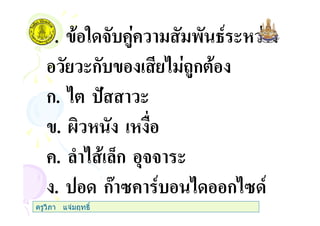 7. " 3 +$+ ' 45 (
(ก #$ก
ก. (
. @
+. ) 0ก ,33 (
. กA .+ 5 ก . 5
ครูวิภา แจมฤทธิ์
 