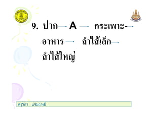 9. ก A ก ( ' (-
) 0ก
) " 1
ครูวิภา แจมฤทธิ์
 
