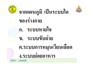 3 ก&@ <$ % ( "
ก
ก. ( "3
. ( #
+. ( ก ,
. (ครูวิภา แจมฤทธิ์
 