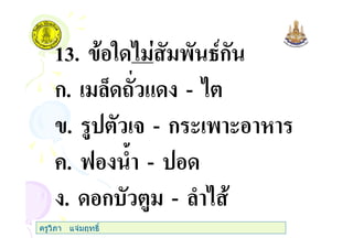 13. " ' 45ก
ก. 0 # & -
. $ 3 - ก ( ' (
+. 6 ) -
. ก $ - )
ครูวิภา แจมฤทธิ์
 