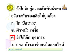 7. " 3 +$+ ' 45 (
(ก #$ก
ก. (
. @
+. ) 0ก ,33 (
. กA .+ 5 ก . 5
ครูวิภา แจมฤทธิ์
 